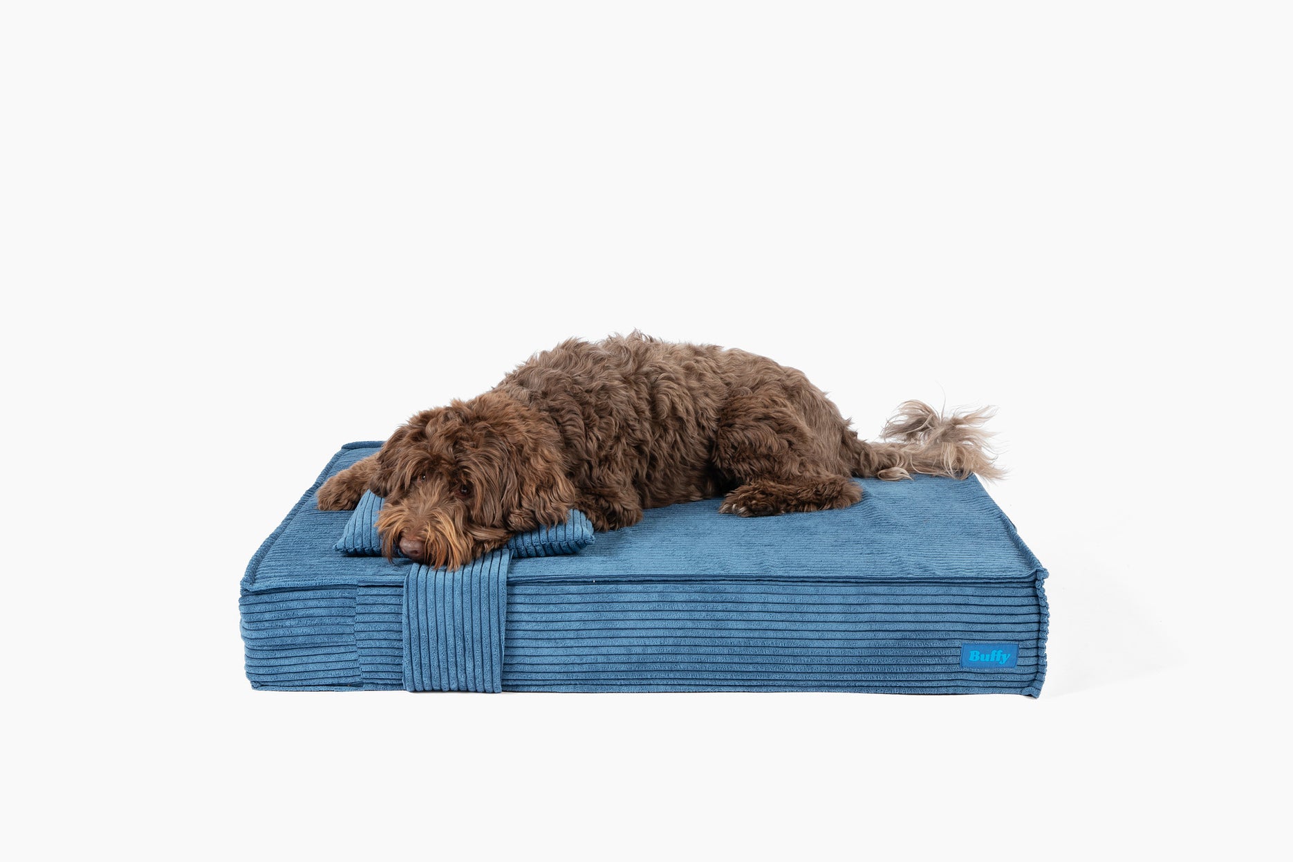 Cerulean Corduroy