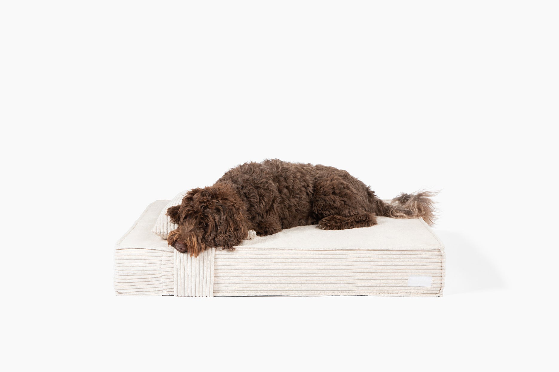 Bone Corduroy
