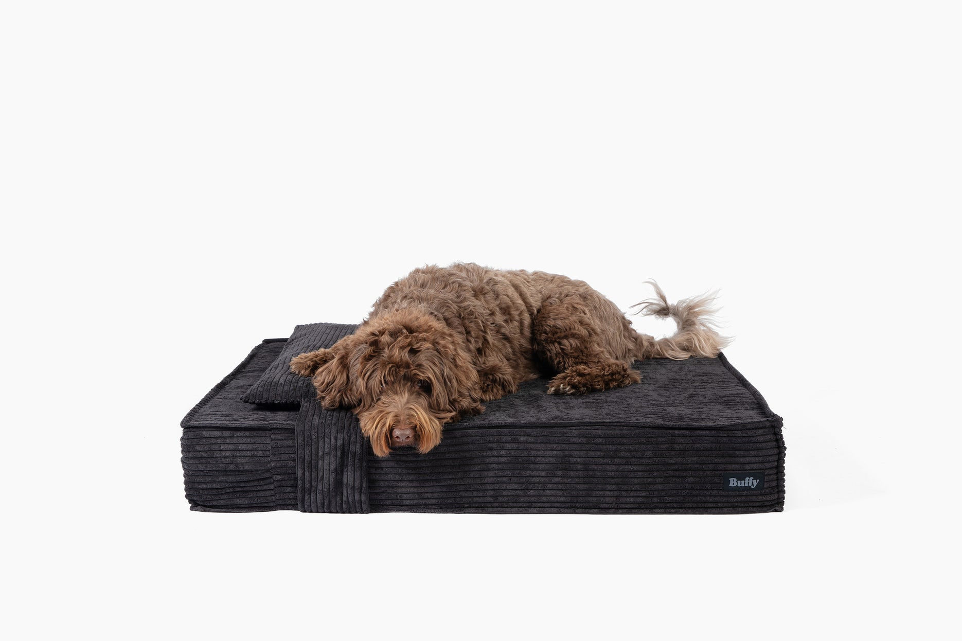 Onyx Corduroy