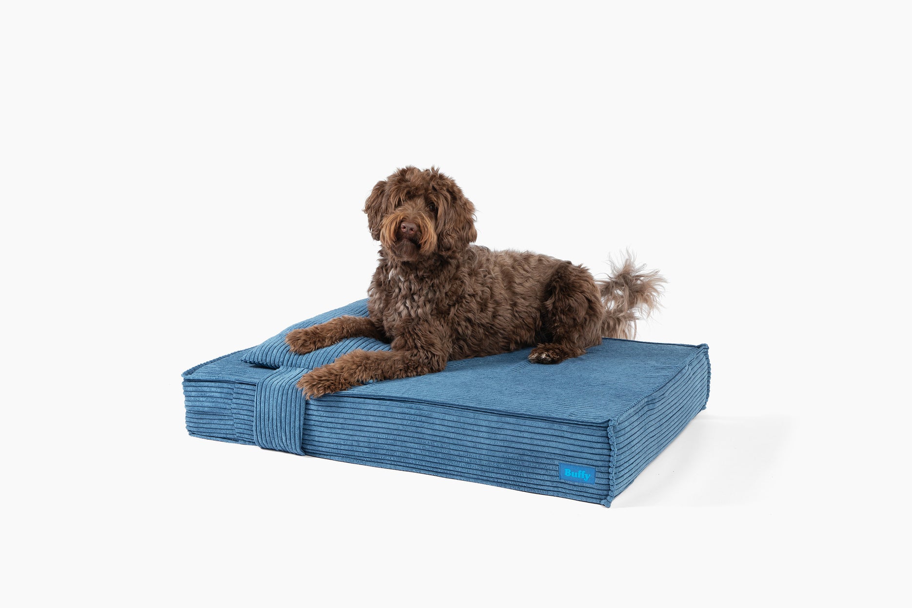 Cerulean Corduroy