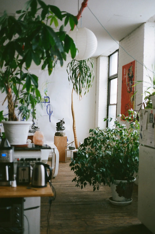 how these 4 artists live (and sometimes work) together