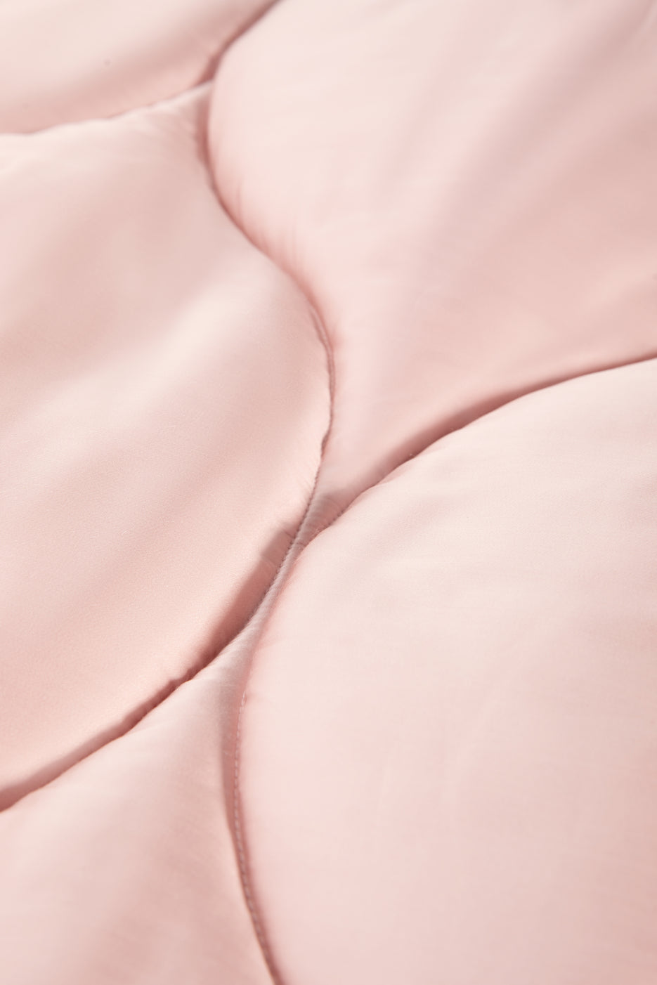 Rose Clay