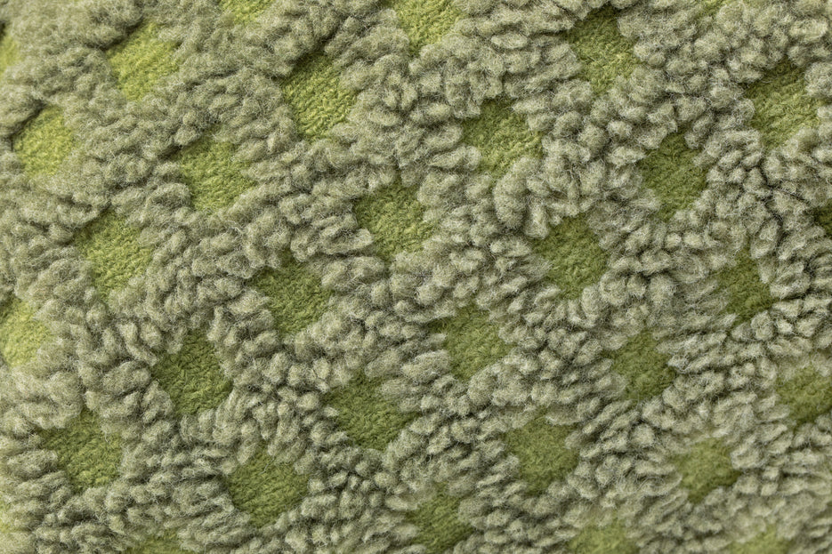 Iguana Deep/Lichen Green