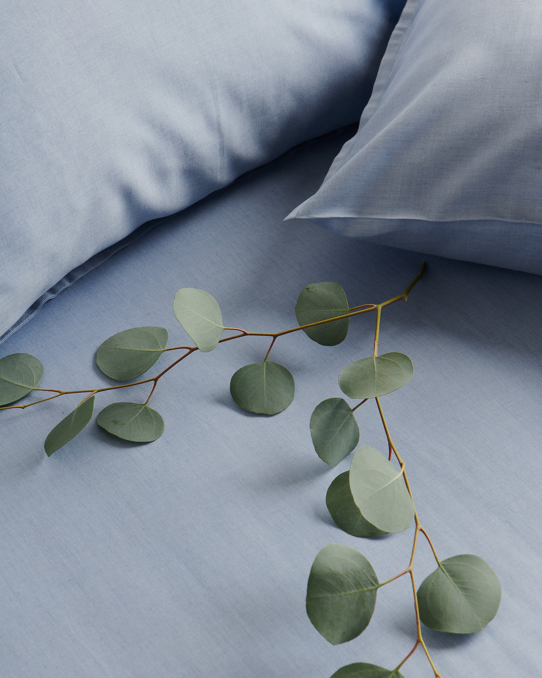 The Most Comfortable Comforters On Earth Buffy