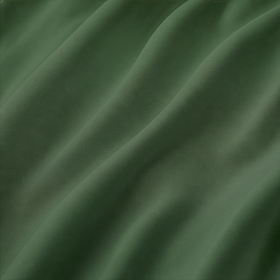 Monstera