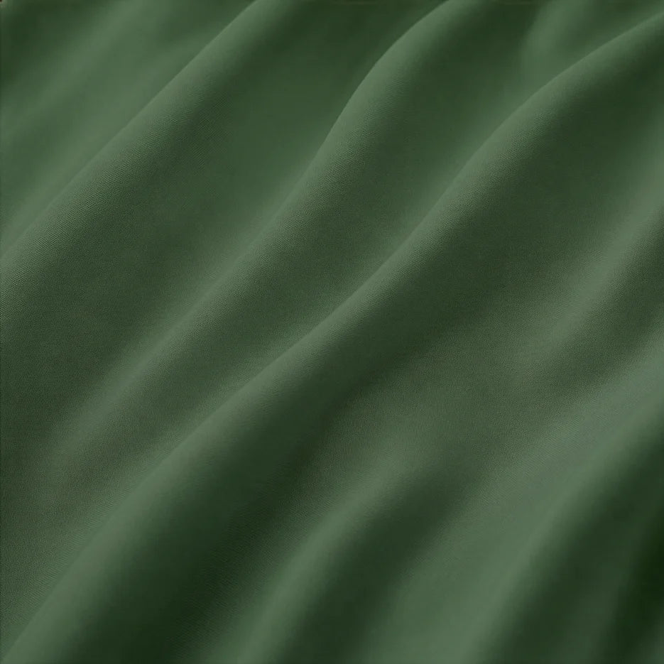 Monstera