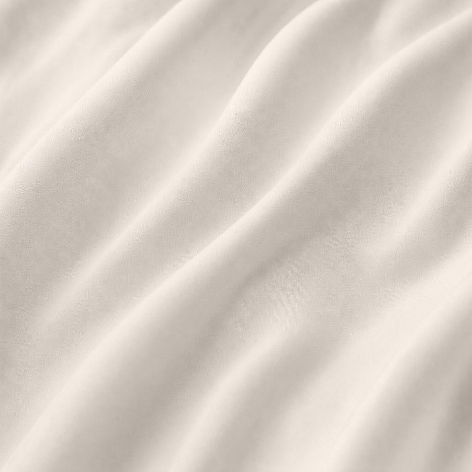 Seashell