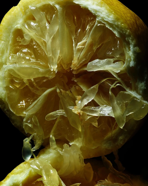 Pomelo Rind