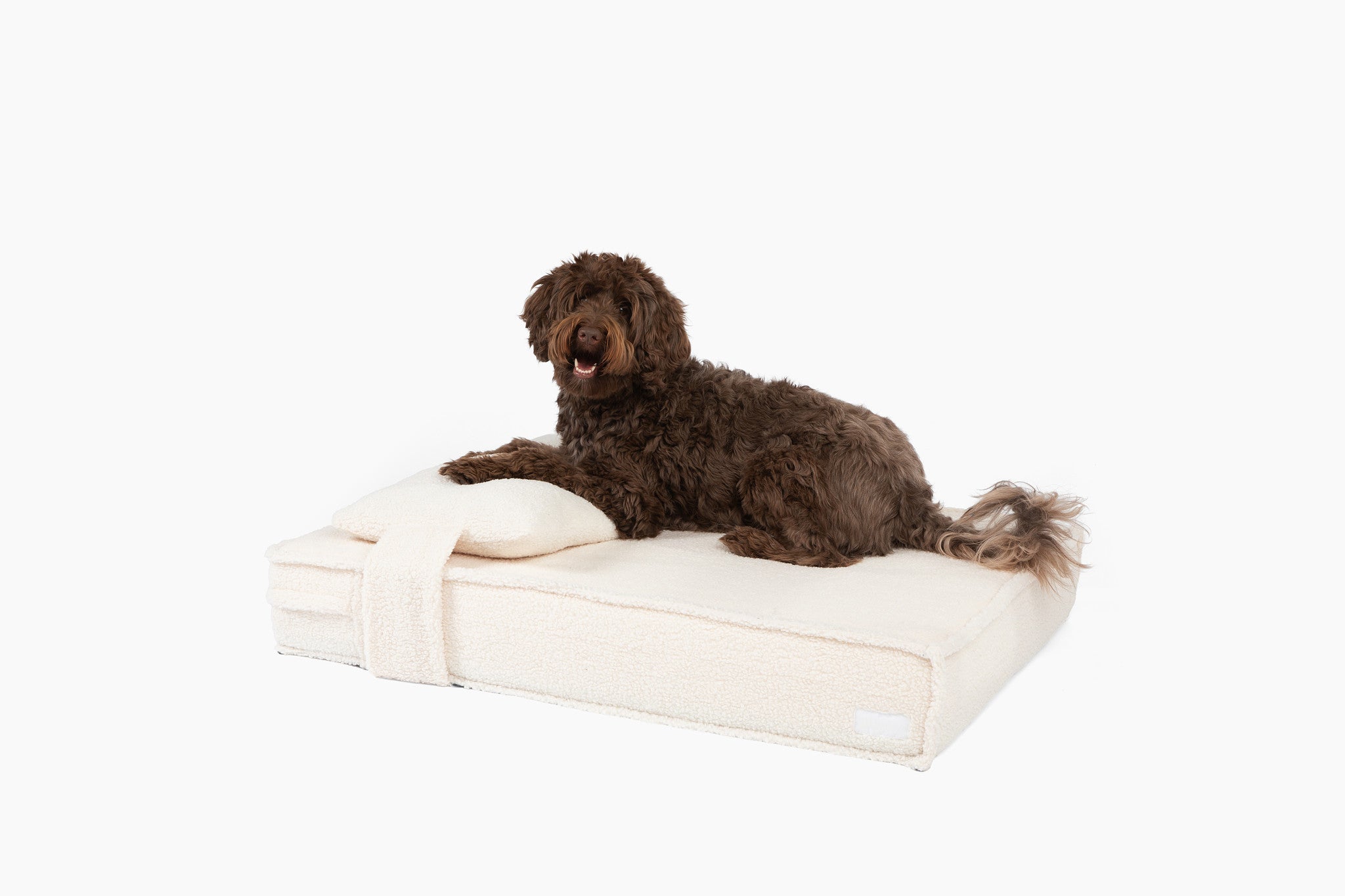 Milliard premium orthopedic memory foam dog bed hotsell